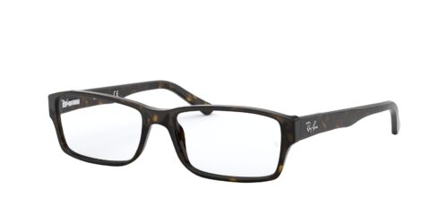 RAY BAN 5169 2012