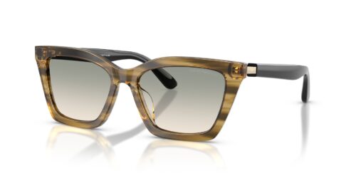 EMPORIO ARMANI 4250U 62672C